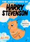 Adventures of Harry Stevenson, The